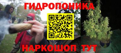 каннабис Можга