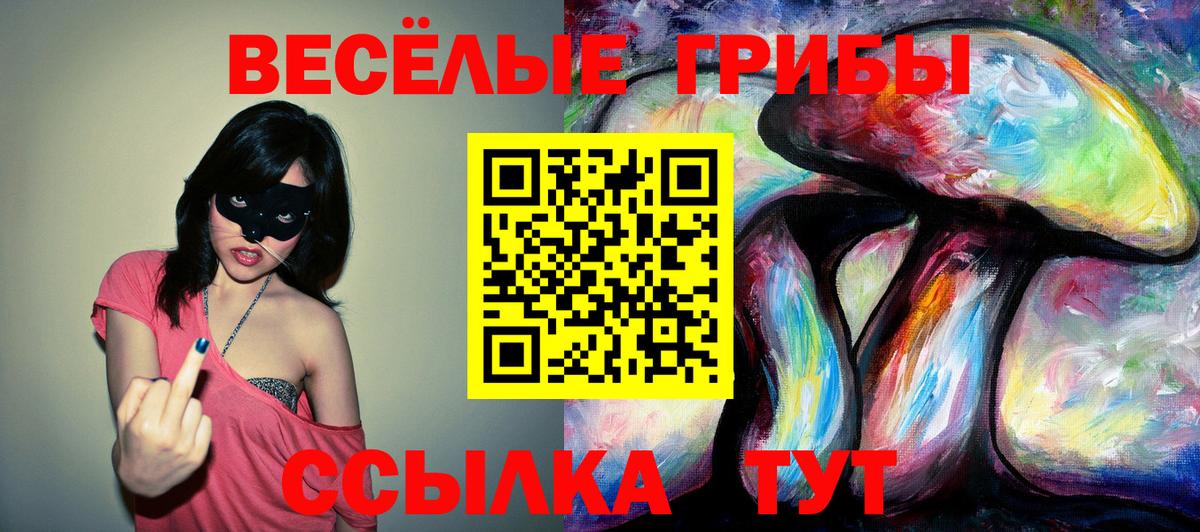 Якутск  Галлюциногенные грибы прущие грибы  Вход с VPN  Галлюциногенные грибы Psilocybe 